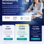 Accounting & Bookkeeping Website Setup