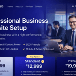 Corporate Business Website Setup
