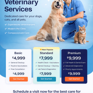 Pet Veterinary Clinic Website Setup
