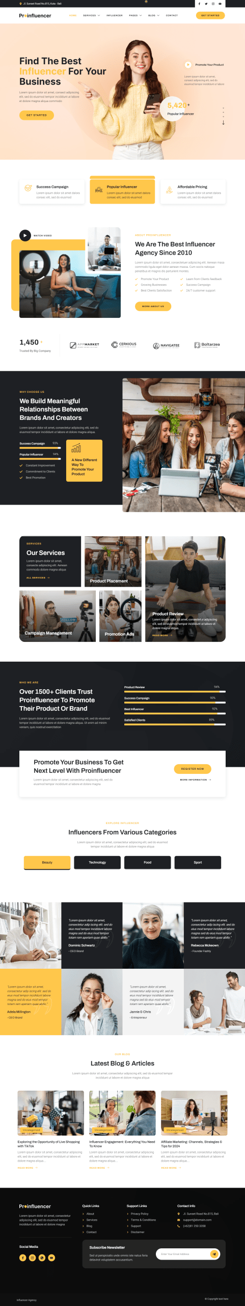 Influencer Marketing Agency Website Setup - Image 2